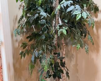 artificial ficus tree