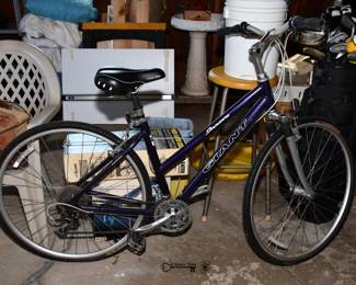 003Some Highlights Naperville Estate Sale