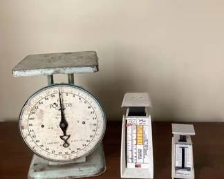 American Family Scale And More