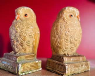 Smart owl bookends