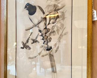 Reproduction sold by Soicher- Marin of birds. 21x28”. $300.