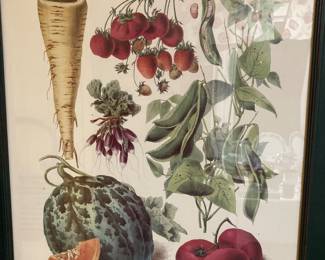 framed produce print