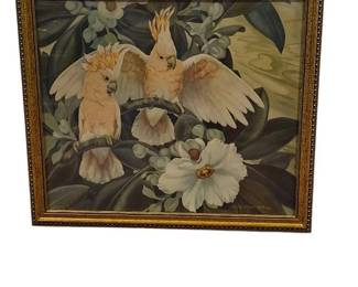 Tropical Beauty Framed Print