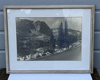 Lot 15 | Older Hand Developed Photograph Mountains Pines
