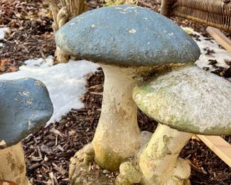 2 concert garden Mushrooms