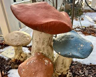 3 concert garden Mushrooms