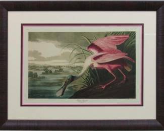 9006 - ROSEATTE SPOONBILL BY JOHN J. AUDUBON 29 X 22.5