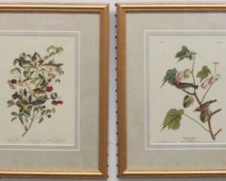 9002 - 2 WARBLERS BY JOHN J. AUDUBON 13.5 X 16.5