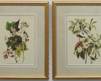 9001 - 2 WARBLERS BY JOHN J. AUDUBON 13.5 X 16.5