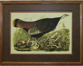9076 - GREAT AMERICAN HEN & YOUNG GICLEE BY JOHN J. AUDUBON 29 X 22