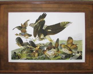 9061 - VIRGINIA PARTRIDGE BY JOHN J. AUDUBON 33 X 24