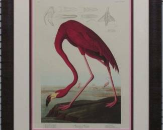 9008 - AMERICAN FLAMINGO BY JOHN J. AUDUBON 23 X 27.5