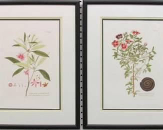 9079 - 2 BOTANICALS 16.5 X 21