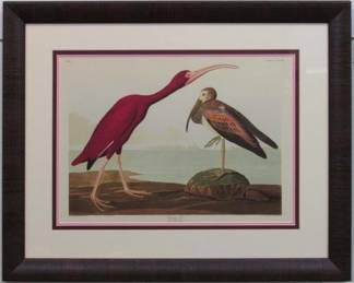 9007 - SCARLET IBIS BY JOHN J. AUDUBON 27.5 X 22