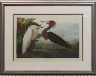 9005 - PURPLE HERON BY JOHN J. AUDUBON 28.5 X 22