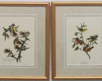 9003 - 2 FINCHES BY JOHN J. AUDUBON 13.5 X 16.5