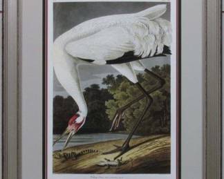 9019 - HOOPING CRANE ADULT BY JOHN J. AUDUBON 23.5 X 29.5