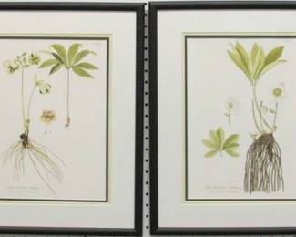 9078 - 2 BOTANICALS 16.5 X 21