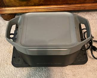 P3 - $250. Ecoflow Model Delta 2 Portable Power Station.