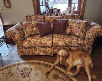 Sofa, dog not for sale