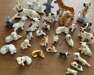 Dogs Lots Of Them And 1 Cat