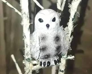 MS017Buds in bloom paper destiny