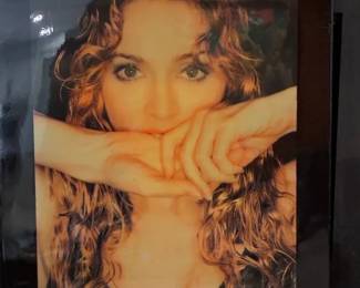 DG202Madonna in Frame on wood