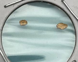 Two Natural Gold Nuggets, 0.03 grams