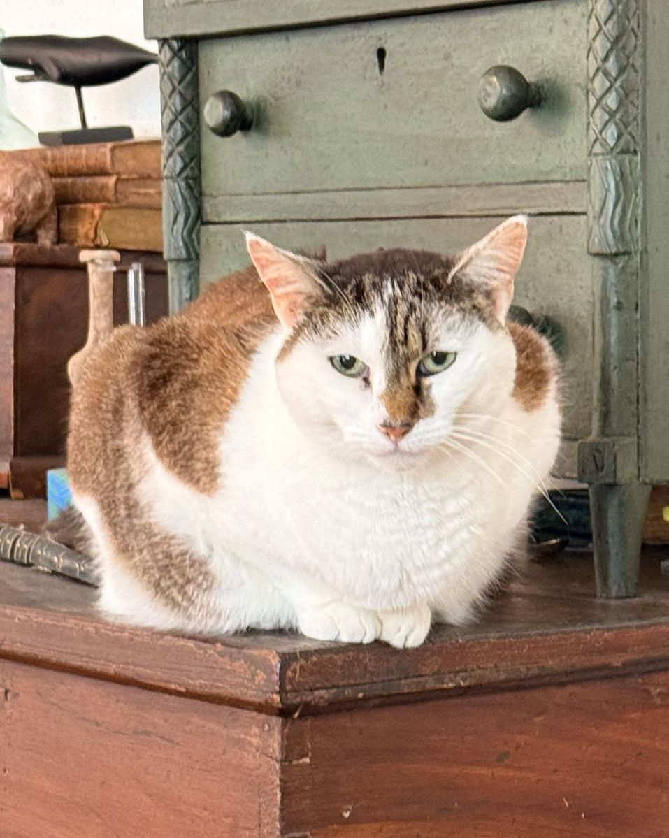 I am not very happy about going back to work for this guy but I have no other option.