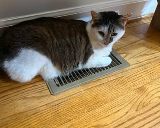 His warehouse better be heated.