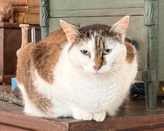 I am not very happy about going back to work for this guy but I have no other option.