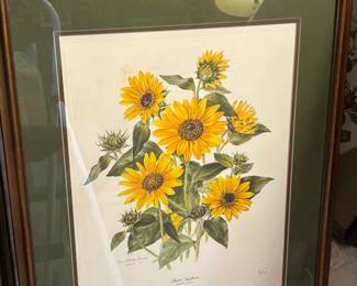 Anne Downden Sunflower