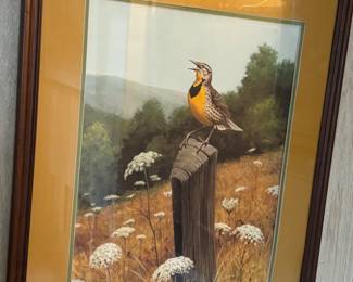 Don Eckelberry "Meadowlark"
