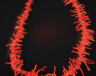 Red  Coral Necklace $60