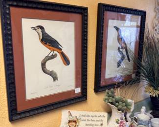 framed bird prints