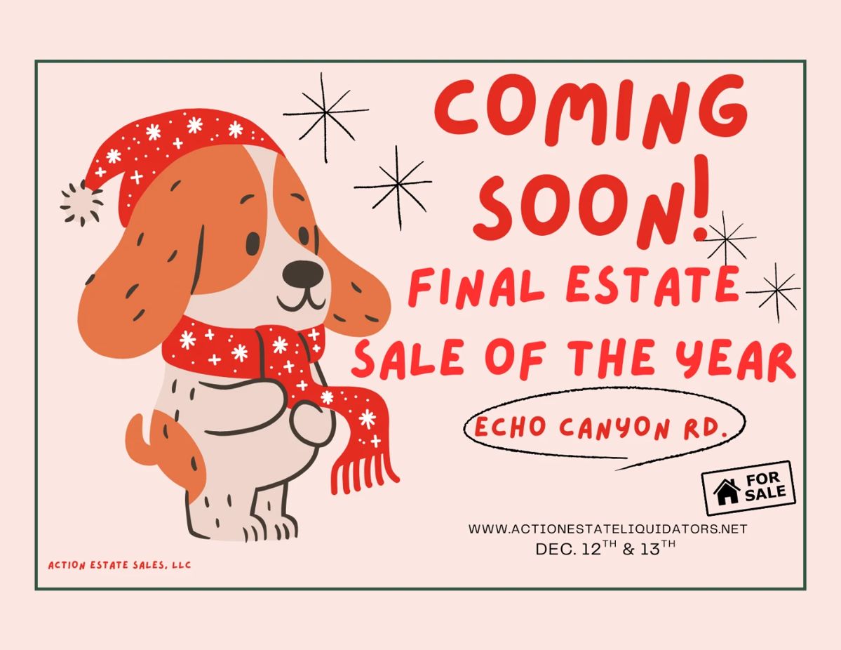 aes coming soon echo