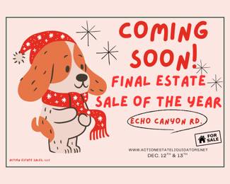 aes coming soon echo