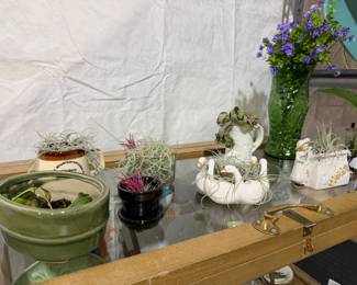 plants in vintage containers!