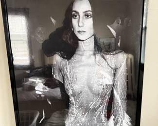 Vintage Cher Poster Professionally Framed