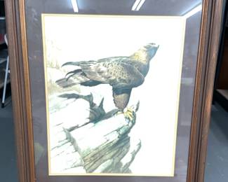 Signed Framed Print Of Golden Eagle 