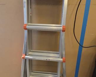 Little Giant Ladder
