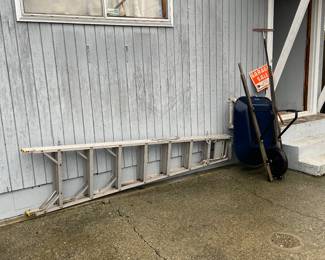 Wheelbarrow and metal ladder.