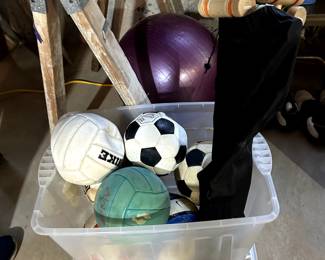 box of sport balls, croquet set and exercixe ball