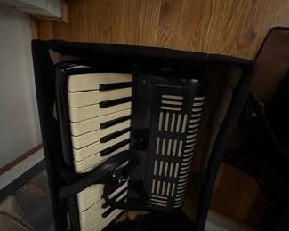 . . . vintage accordion
