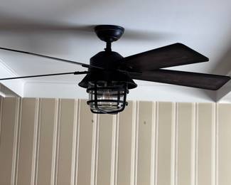 Ceiling fan - $40