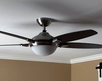 Ceiling fan - $40
