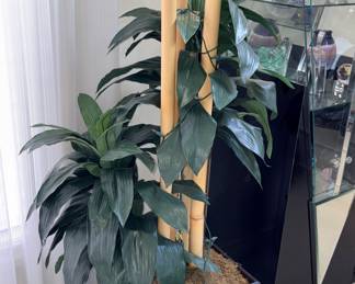 Silk Cordyline Plant w/Bamboo!
