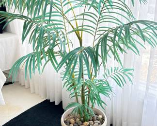 Silk Palm Plant in Ceramic Pot!