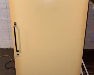 Sears Cold Spot Freezer!