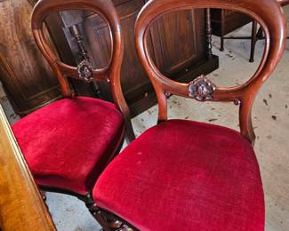 Set of 6 Victorian balloon back dining chairs.